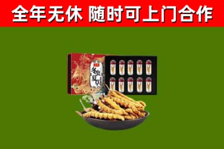 应市回收冬虫夏草价格
